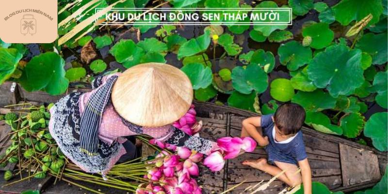 Trải nghiệm sự yên bình khi du lịch Đồng Tháp 