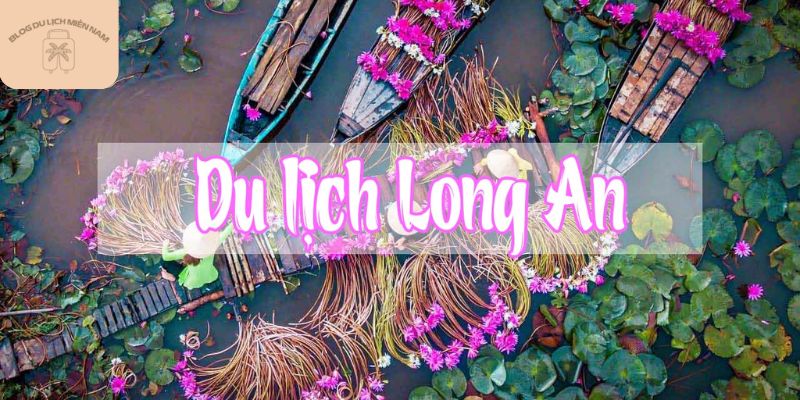 Khám phá và trải nghiệm khi du lịch Long An