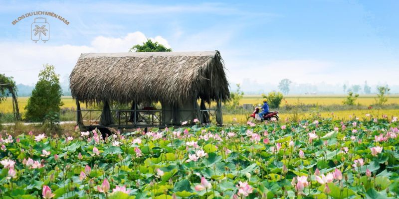 Không nên bỏ lỡ các hoạt động trải nghiệm độc đáo của Đồng Tháp 