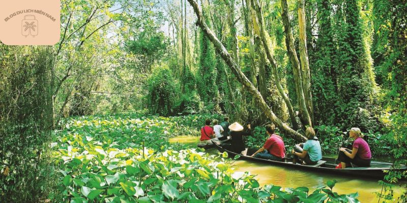 Long An có nhiều hoạt động trải nghiệm về sông nước