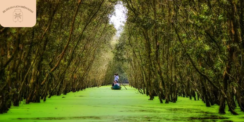 Những khung cảnh thiên nhiên tuyệt đẹp tại An Giang