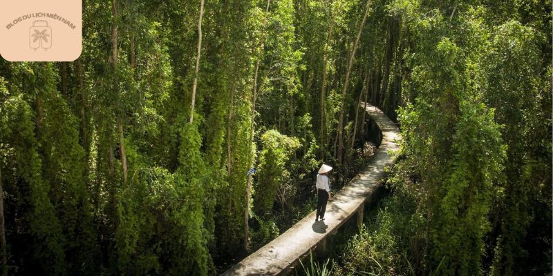 Những địa điểm nổi tiếng tại Long An